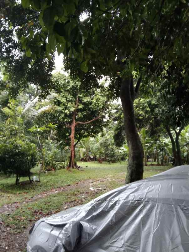 tanah strategis ciganjur jagakarsa jakarta selatan