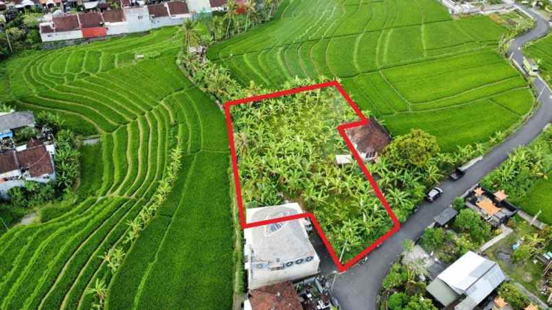 tanah strategis view sawah di tumbak bayuh canggu