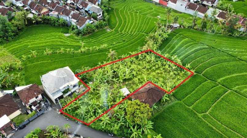 tanah strategis view sawah di tumbak bayuh canggu