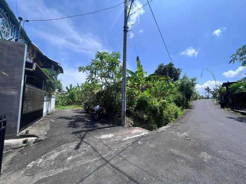 tanah strategis view sawah di tumbak bayuh canggu