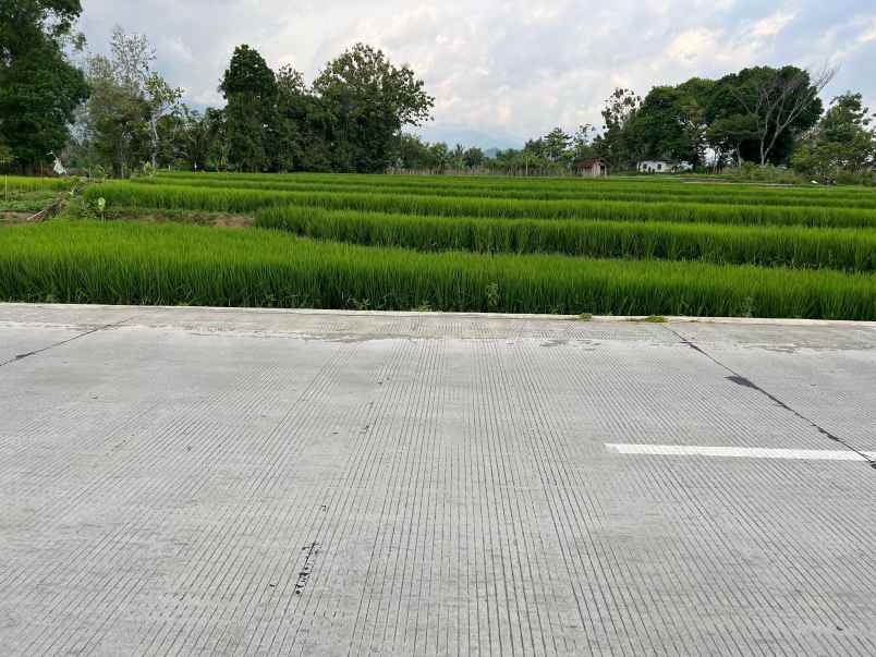 tanah subur 2906m matesih karanganyar
