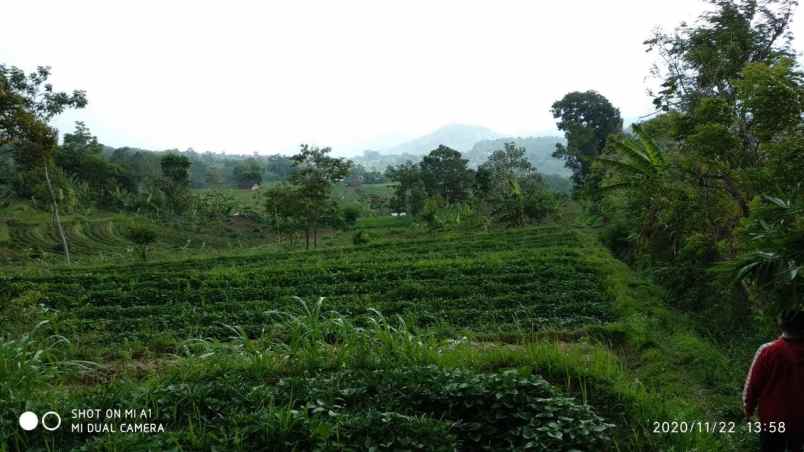 tanah trawas view gunung ideal untuk villa anda