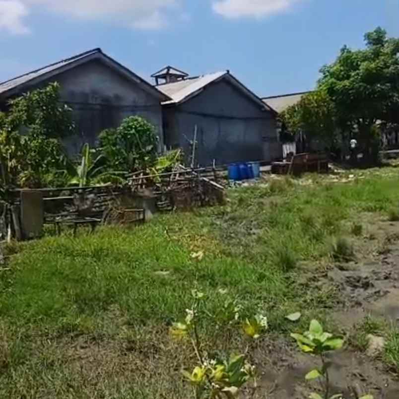 dijual 4 35 are jl pulau saelus pedungan denpasar