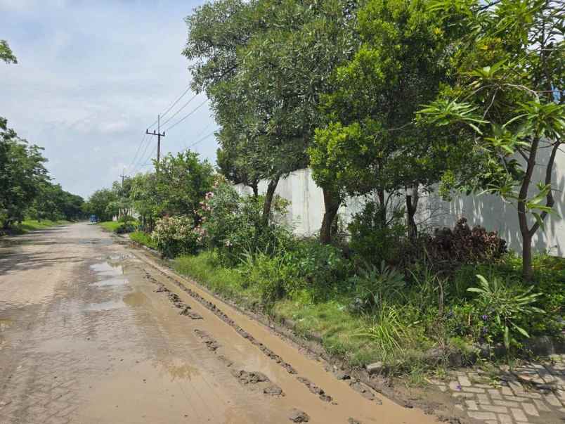 dijual gudang di surimulia surabaya