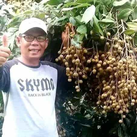 dijual lokasi kebun durian di sukabumi