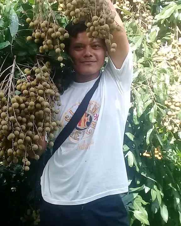 dijual lokasi kebun durian di sukabumi