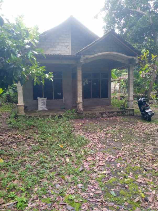 dijual pekarangan kemalang bonus rumah