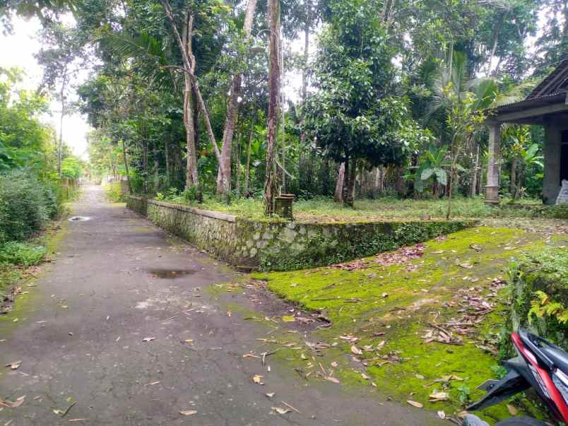 dijual pekarangan kemalang bonus rumah