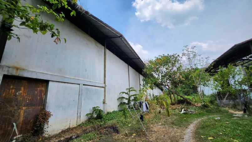 dijual ruko gudang kantor jl raya curug kadu jaya