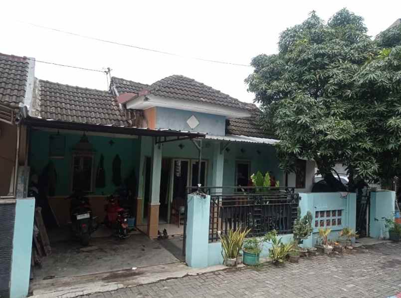 dijual rumah di wolter raya semarang