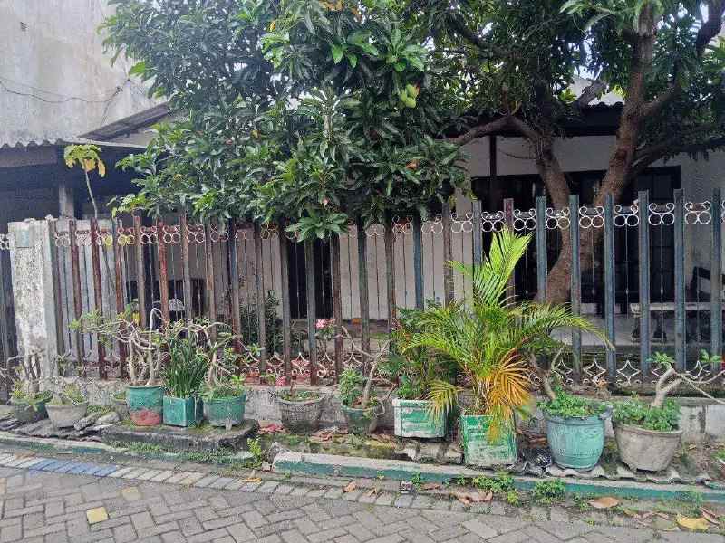 dijual rumah gubeng kertajaya