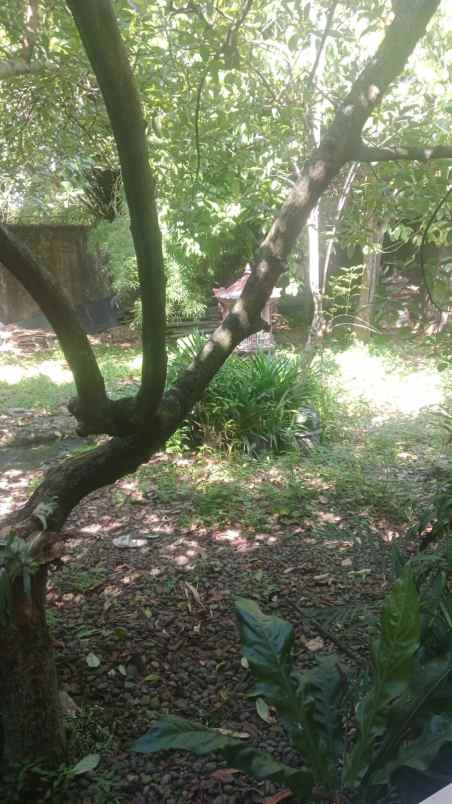 dijual rumah hunian skandinavian