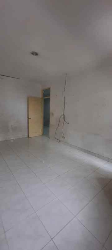 dijual rumah kelapa kopyor kelapa gading