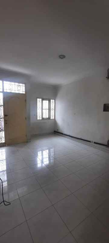 dijual rumah kelapa kopyor kelapa gading