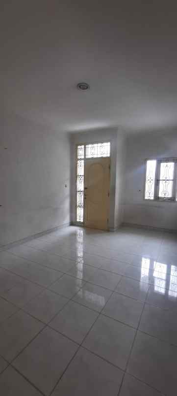 dijual rumah kelapa kopyor kelapa gading