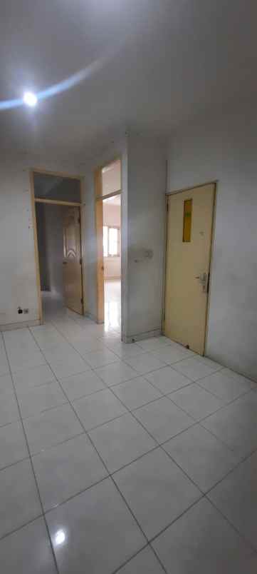 dijual rumah kelapa kopyor kelapa gading