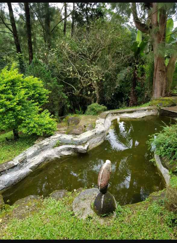 dijual rumah lembang