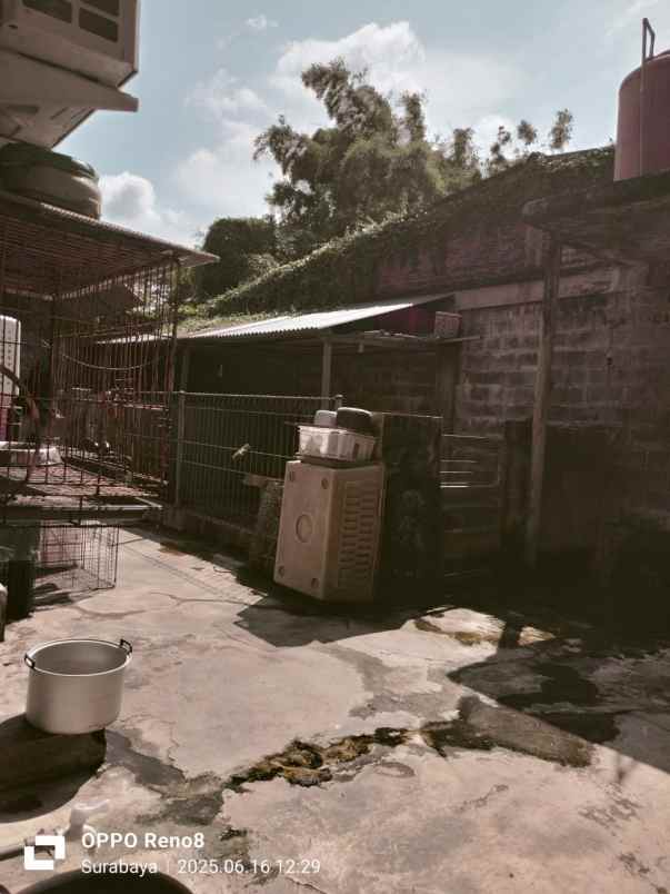 dijual rumah simo gunung barat