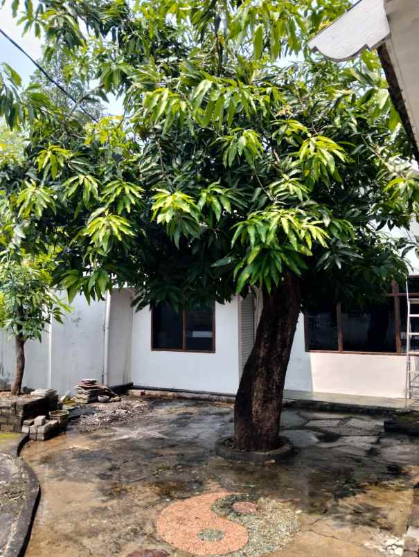 dijual rumah wisma permai