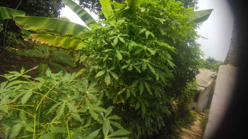 dijual sebidang tanah kosong