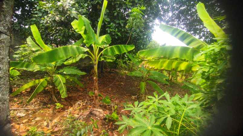 dijual sebidang tanah kosong