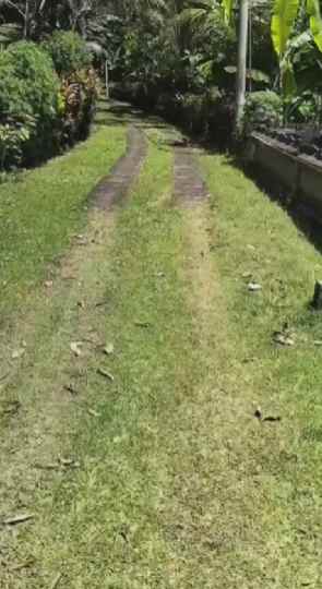dijual tanah balian beach selemadeg