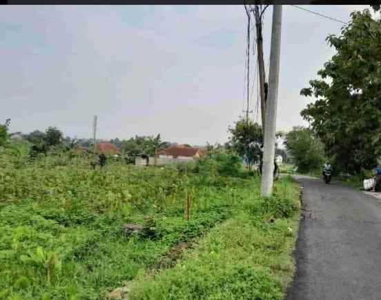 dijual tanah balungbangjaya