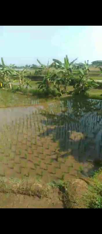 dijual tanah blok japar