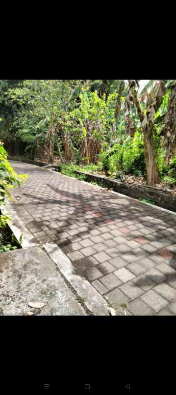 dijual tanah br batugaing ds beraban