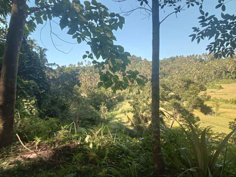 dijual tanah bukit catu manggis