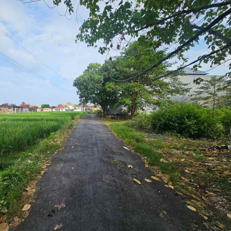 dijual tanah bumbak umalas