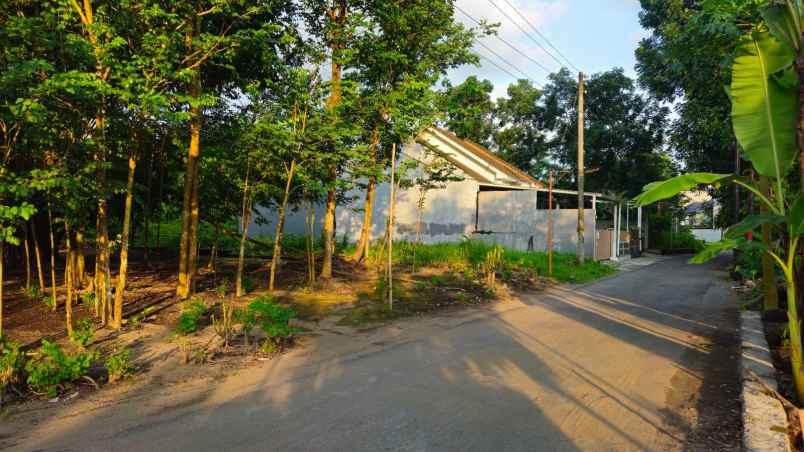 dijual tanah candi winangun sardonoharjo