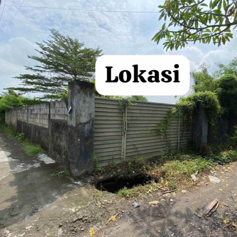 dijual tanah canggu permai