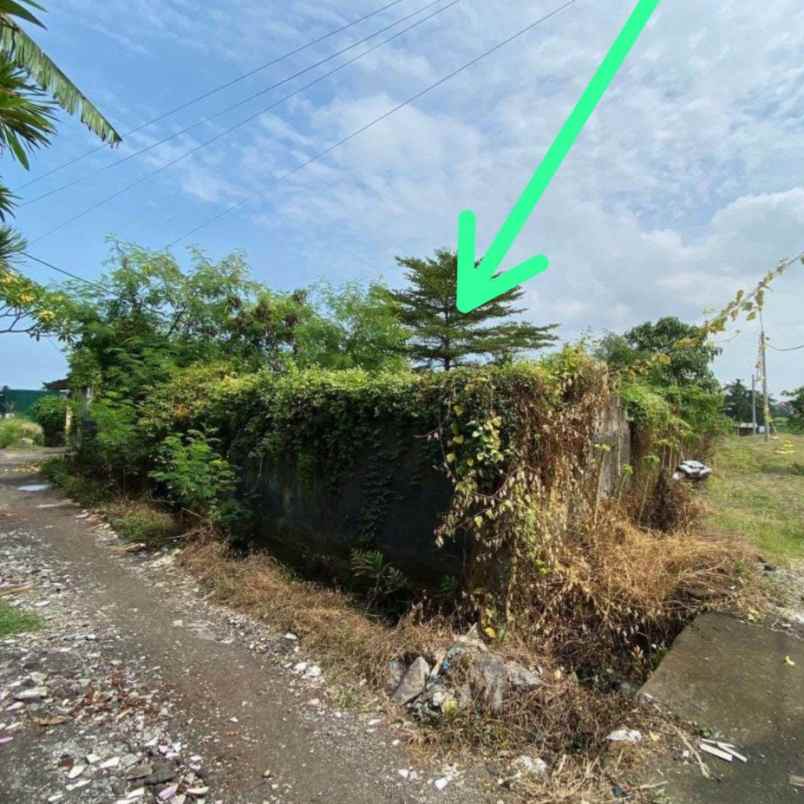 dijual tanah canggu permai