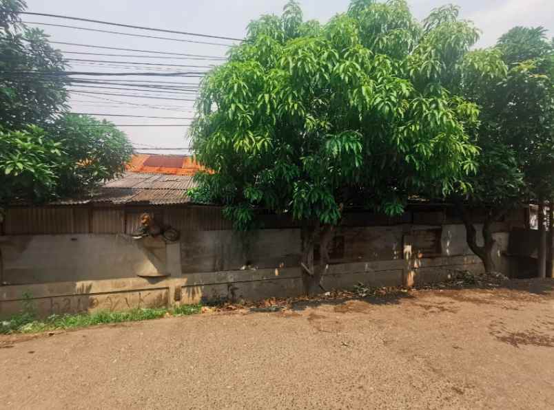 dijual tanah cengkareng