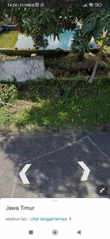 dijual tanah cepat di desa ringinrejo kec ringinrejo