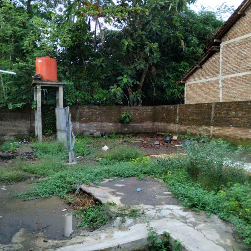 dijual tanah cepat di muktisari karang tengah kebumen