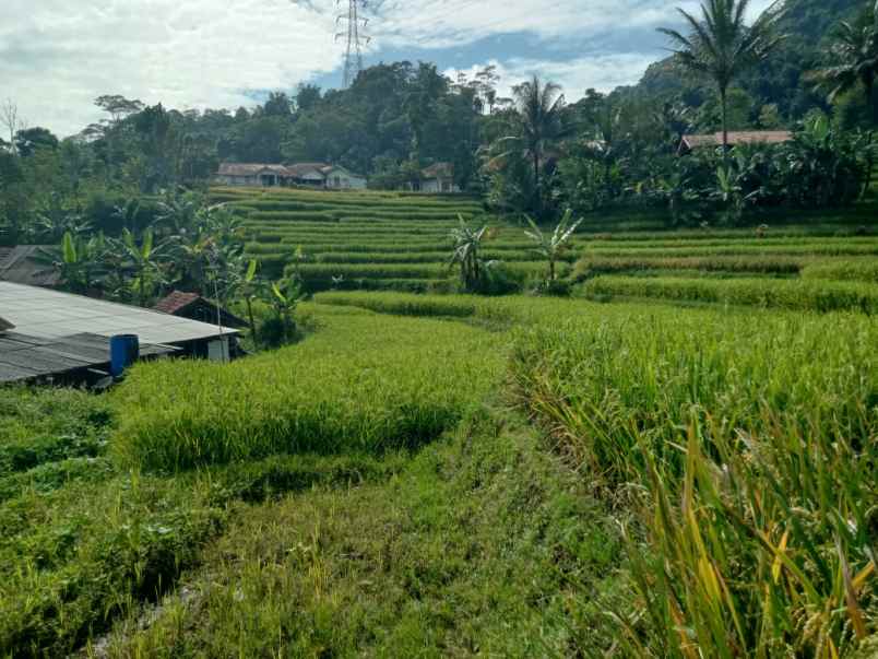 dijual tanah cicangkang girang