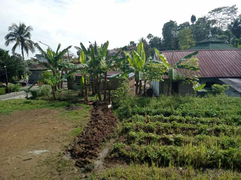 dijual tanah cicangkang girang
