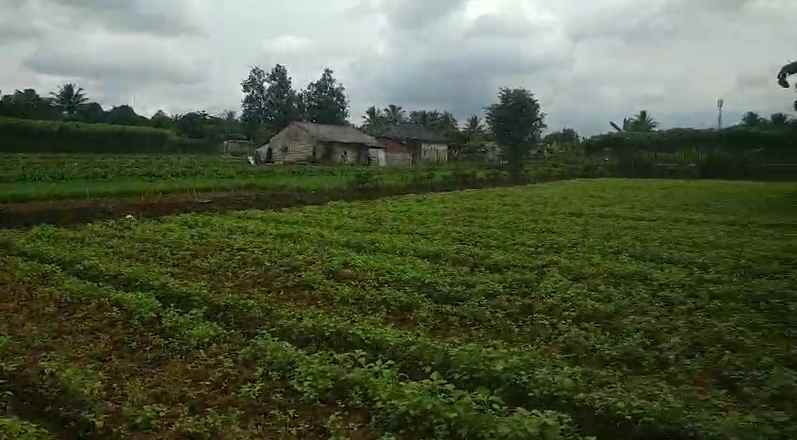 dijual tanah cimanggu 2 cibungbulan