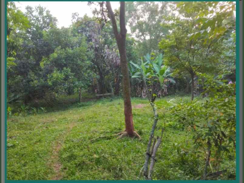 dijual tanah cirangkong