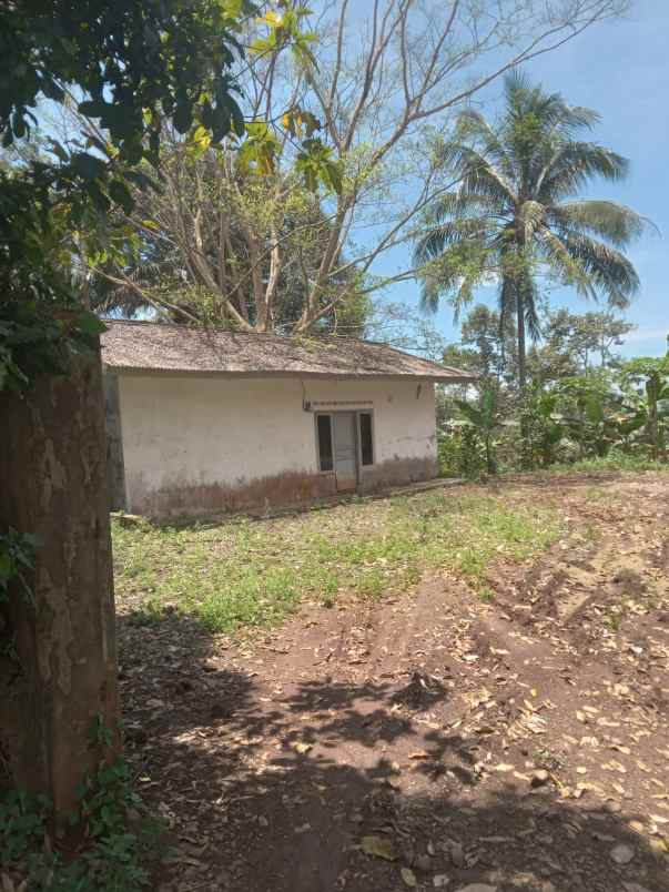 dijual tanah cisonggom