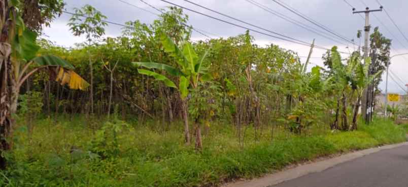 dijual tanah cocok untuk investasi dll