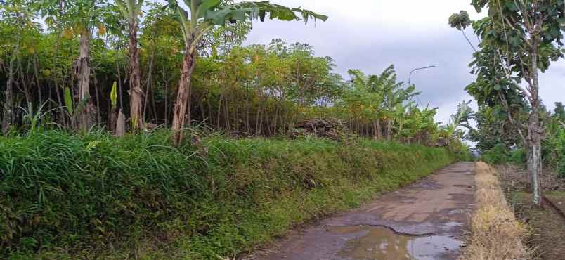 dijual tanah cocok untuk investasi dll