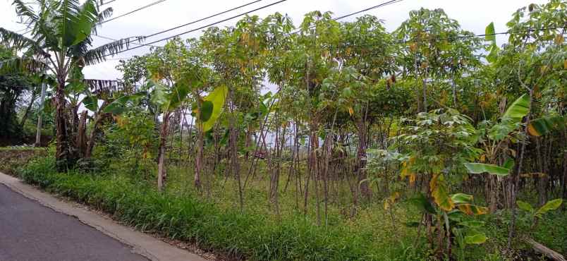 dijual tanah cocok untuk investasi dll