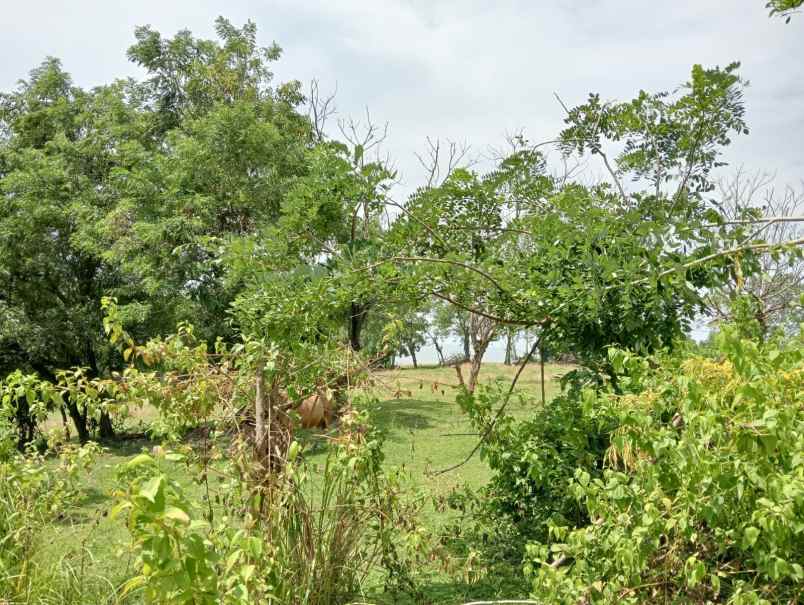 dijual tanah dengan kontur tinggi view laut lepas