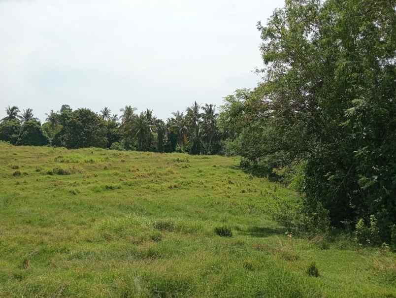 dijual tanah dengan kontur tinggi view laut lepas