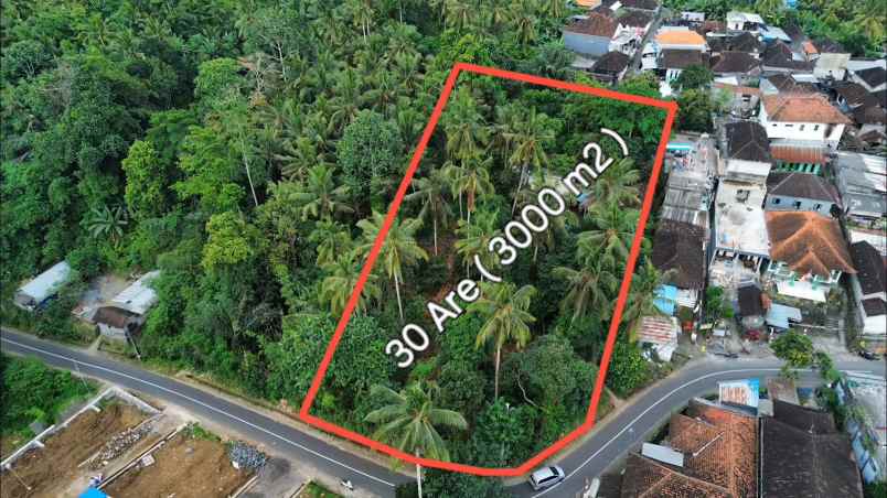 dijual tanah desa bajera selemadeg