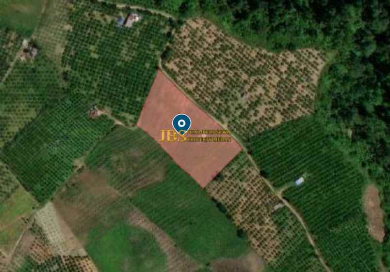 dijual tanah desa guru benua kec munte karo