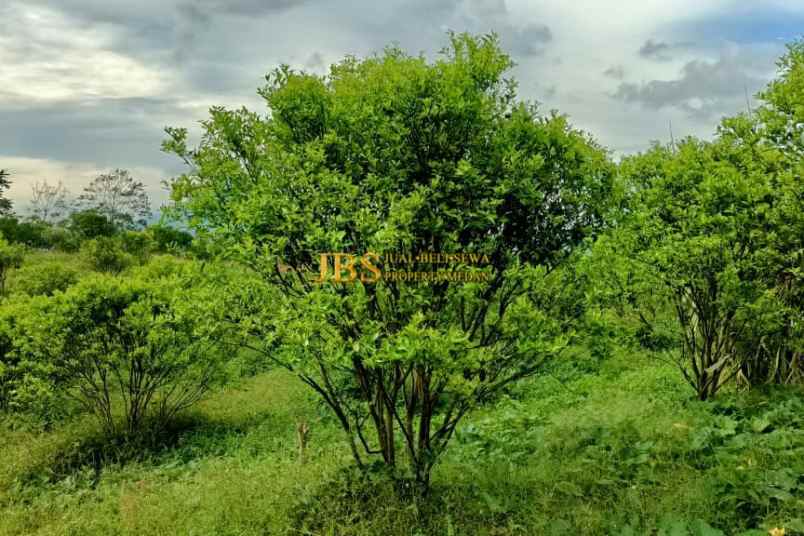 dijual tanah desa guru benua kec munte karo